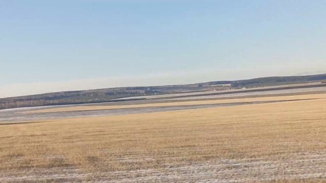 OPPO RENO 3 8/128 Тест видео