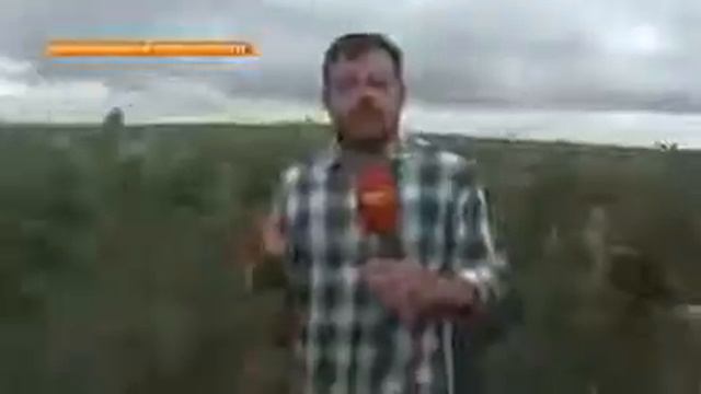 "Сады Ставрополья" за четыре года стали крупнейшими в стране смотреть онлайн