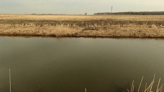 РЫБАЛКА В КАНАВЕ, ПОЛНОЙ РЫБЫ!!! Ловим на спиннинг и удочку. Подводные съёмки. смотреть онлайн