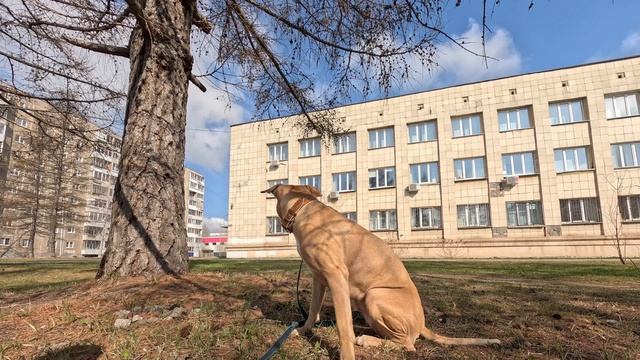 23-04-2023 смотреть онлайн