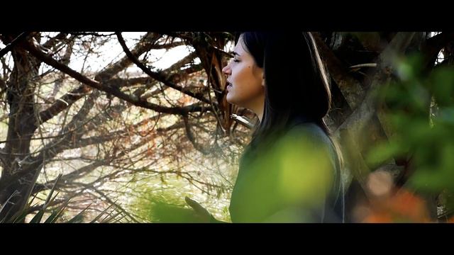 Alina Donica, Не бойся ибо Я с тобою (2018 Video) смотреть онлайн