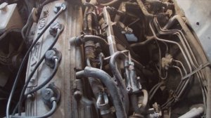 Lifan Solano//Форсунка