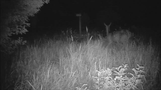 Солонцы смотреть онлайн