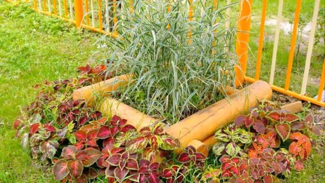 Идеи для Сада  из подручных средств