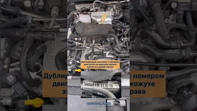 Volkswagen Passat Alltrack B8 рестайлинг маркировки - Расположение номера двигателя CUAA/ VIN номер смотреть онлайн