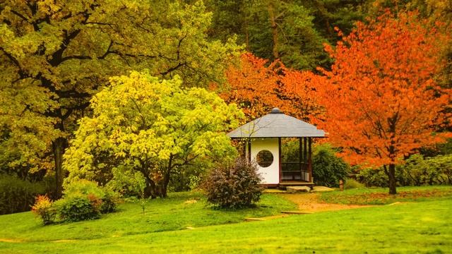 【洋楽playlist】朝に聴きたい元気をくれる気持ちの良いポジティブな音楽 ✨ Morning Energy - Chill with Carrot смотреть онлайн