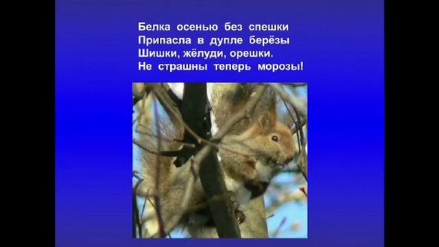 Стихи о зиме. смотреть онлайн