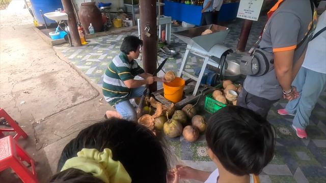 [??베트남-3] 호치민에서 즐길 수 있는 투어 (메콩델타투어) смотреть онлайн