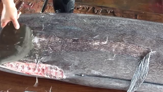 300KG / $10,000 Giant Bluefin Tuna And Marlin Cutting For Making Luxurious Sashimi And Sushi