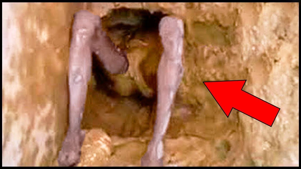 Эта Новая Находка в Египте Испугала Ученых смотреть онлайн