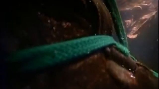 Bug Attack by National Geographic смотреть онлайн