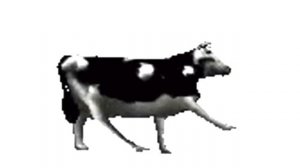 Polish cow techno remix (original)