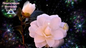 Мощная мантра удачи и везения ॐ Волшебная мантра счастья и везения на каждый день