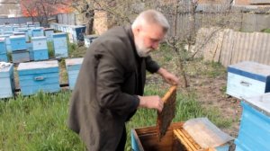 Дезинфекция улья  Лучший способ оброботки улья  Совет для начинающих пчеловодов