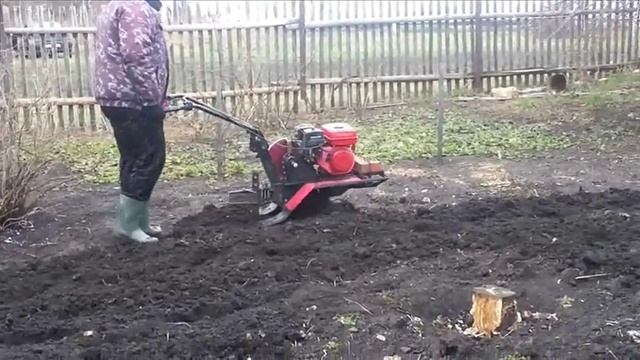 Культивация(фрезерование) мотоблоком. - Soil Cultivation Motor-block.