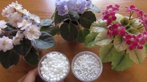 ПЕРЛИТ ИЛИ ПЕНОПЛАСТ ШАРИКИ!! РАЗРЫХЛЯЕМ ГРУНТ!!