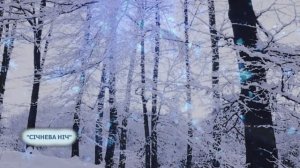 «Січнева ніч»-Люцина Хворост
