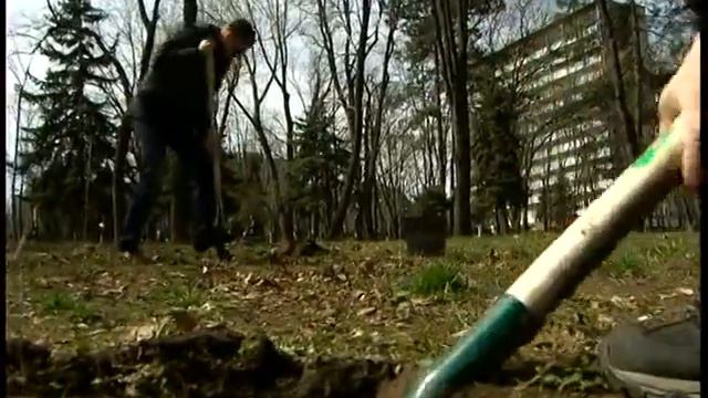 Днепропетровцы сажают деревья за свой счёт смотреть онлайн