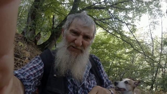 По романтическим дебрюкам смотреть онлайн