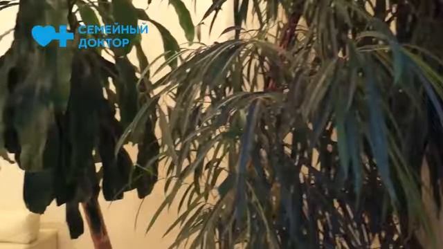 Семейный Доктор. Поликлиника №6 смотреть онлайн