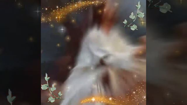 Крещение Иисуса на реке Иордан!