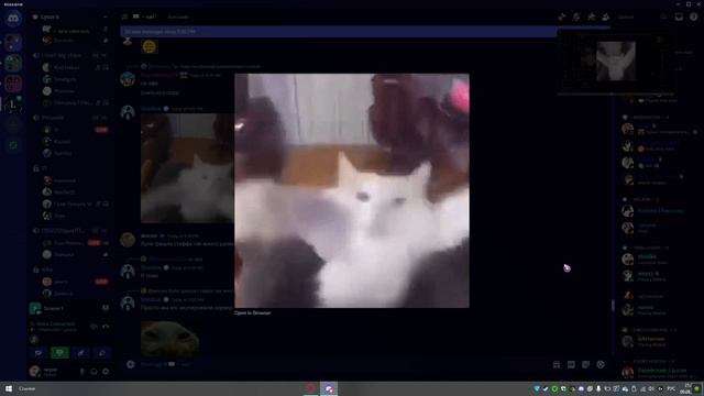 Без комментариев смотреть онлайн