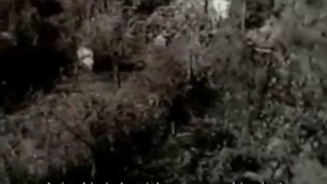 Guria Lanchkhuti - Irtysh Omsk 2-0 1984