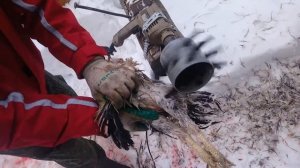 Как бысто ощипать птицу. Насадка для ощипывания птицы на дрель. How to pluck fowl