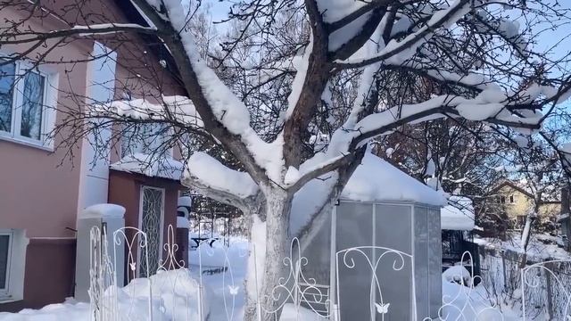 САДОВО-ОГОРОДНЫЕ ДЕЛА В ЯНВАРЕ смотреть онлайн