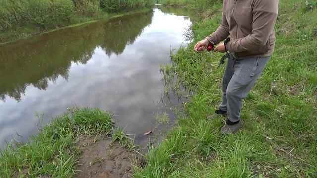 РЫБАЛКА С РОГАТКОЙ.Slingshot fishing смотреть онлайн