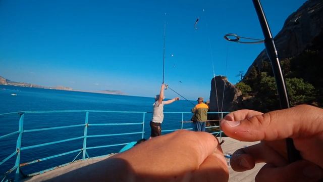 РЫБАЛКА В ЗАПРЕТНОМ МЕСТЕ В КРЫМУ! Ловим рыбу по 10 за раз! Рыбалка с сыном на самодур смотреть онлайн