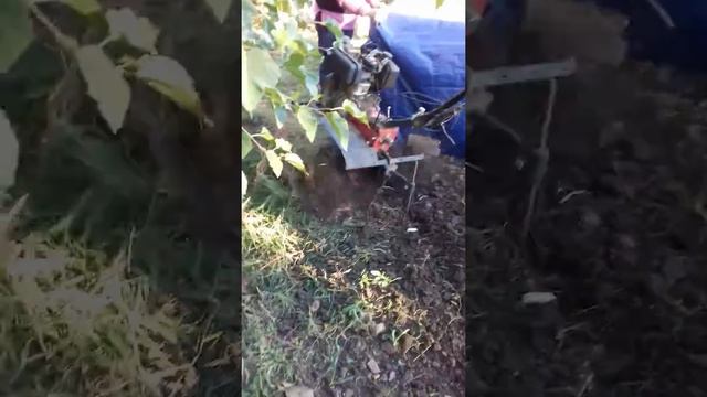 Культиватор дизельный лучше чем бензиновый смотреть онлайн