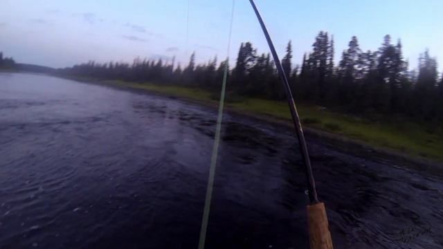 Хариусы на вечерней зорьке / Grayling on the sunset смотреть онлайн