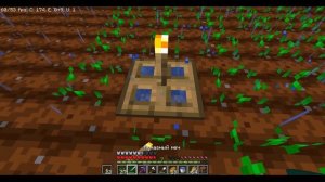 ТОП 5 МАЙНКРАФТ СЕРВЕРОВ С ВАНИЛЬНЫМ ВЫЖИВАНИЕМ НА ВЕРСИИ 1.19 | МАЙНКРАФТ СЕРВЕРА | 1.19 | 1.19.2