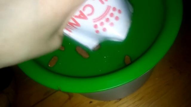 Royal Canin Sterilised Pâtée en mousse pour chat - Zoomalia смотреть онлайн