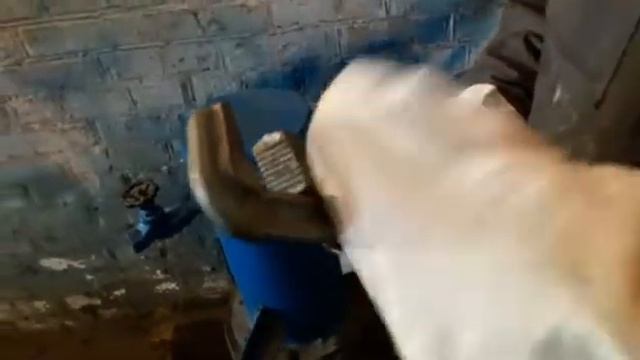 Видео Тренинг инструктаж с выходом на рабочее место 27.07.2018 смотреть онлайн