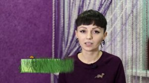 Как кормить хорька? Отвечаем на самые популярные вопросы: чем, сколько и когда.