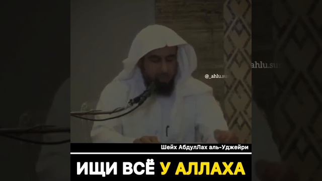 #напоминаниеверующим#грозный#чеченскаяреспублика#чечня#хьехам#нашид#сунна#мечеть#намаз#ислам#коран смотреть онлайн