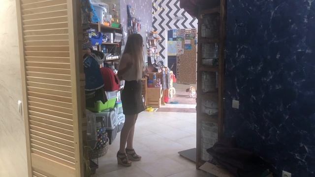 VLOG 2.0 ? ОТВЕЗЛА СОБАКУ В САЛОН КРАСОТЫ/ ГДЕ Я РАБОТАЮ?/ DOG VS CAT смотреть онлайн