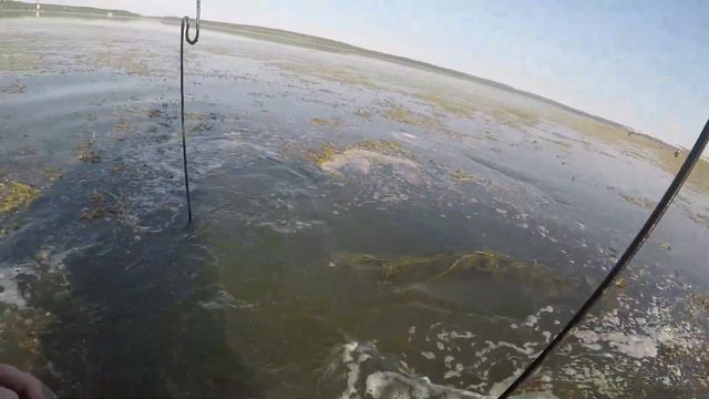 Ловля сазана на макуху. Караси атакуют! смотреть онлайн