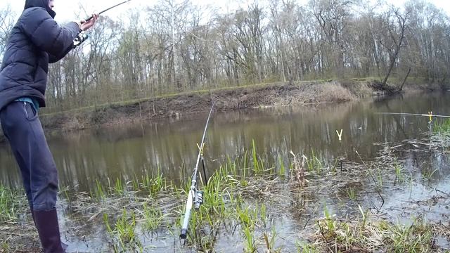 КРУПНЫЙ ГОЛАВЛЬ на ДОНКУ. Ловля крупного ГОЛАВЛЯ НА РЕКЕ. смотреть онлайн