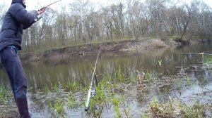 КРУПНЫЙ ГОЛАВЛЬ на ДОНКУ. Ловля крупного ГОЛАВЛЯ НА РЕКЕ.