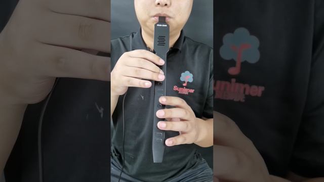 Electronic wind Instrument,Flute and saxophone fingering. смотреть онлайн