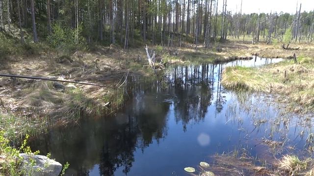 Рыбалка в ручье весной... смотреть онлайн