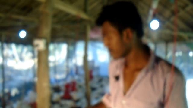 How To Start Latest Broiler Poultry Farming Business 2023 । Small Business Ideas From Home смотреть онлайн
