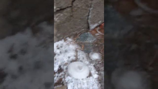 МАМОЧКА НЕ ГОЛОДНАЯ !!! И СЫНОЧЕК ТОЖЕ !!! ПОДПИШИСЬ !!! ПОСТАВЬ ЛАЙК !!! ОСТАВЬ КОММЕНТАРИЙ !!! смотреть онлайн