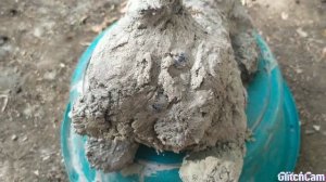 #поделки из цемента,мой эксперимент с мягкими игрушками