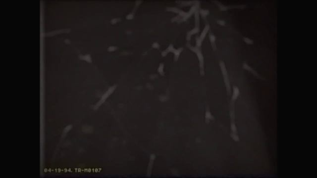 Horror Game Where A Robot Maid Stalks You For 15 Mins she's here hug her - INPUT6 / ALL ARCHIVES смотреть онлайн