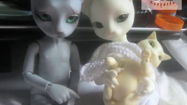 Новый кукло-житель, кот Дерек от Pipos смотреть онлайн