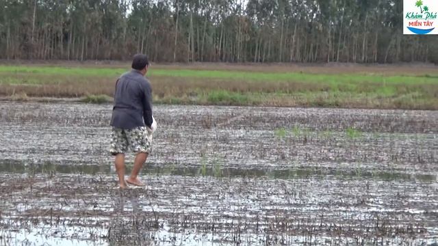 92 | Đi trải nghiệm lượm mót hột vịt về nấu chè смотреть онлайн